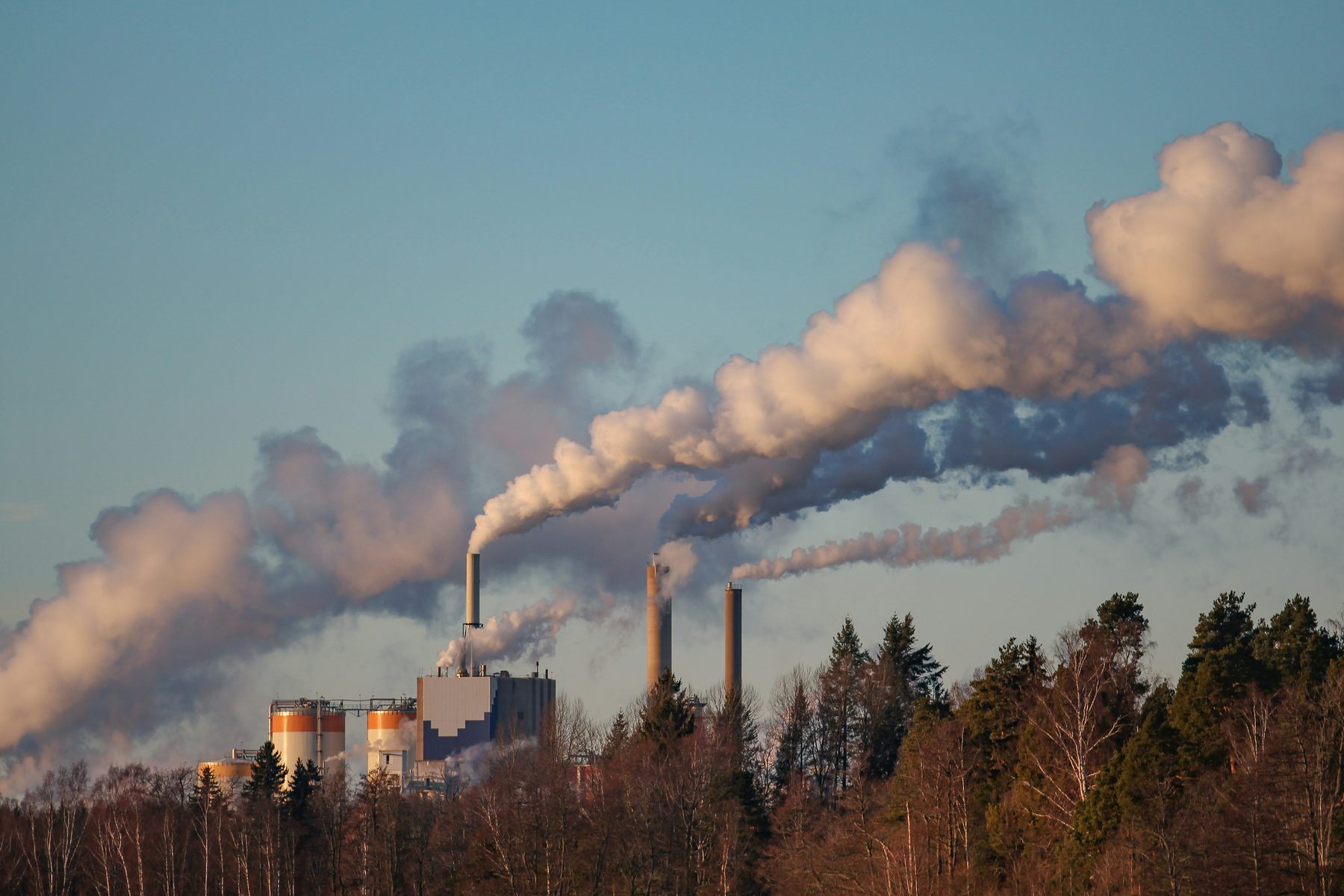 Large paper mill facility
